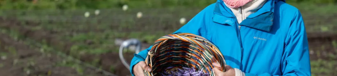 Sur le toit d'un immeuble strasbourgeois, Anaïs Meyer cultive un safran 100 % local et écoresponsable