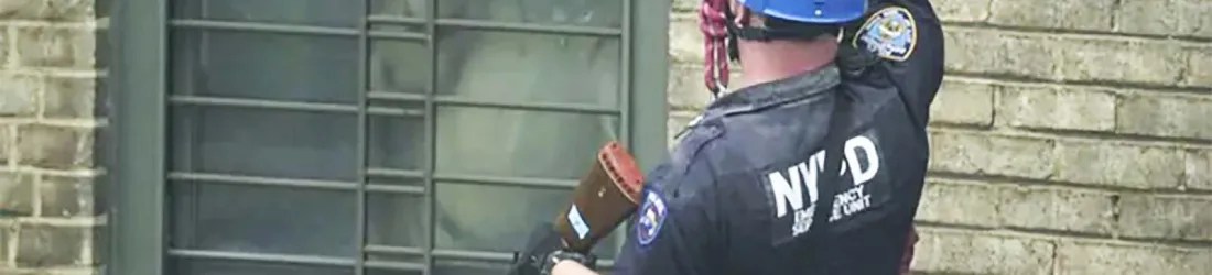 The Harlem Tiger: The Astonishing True Story of Ming, a 425-Pound Pet Living in an Apartment - Rare Historical Photos