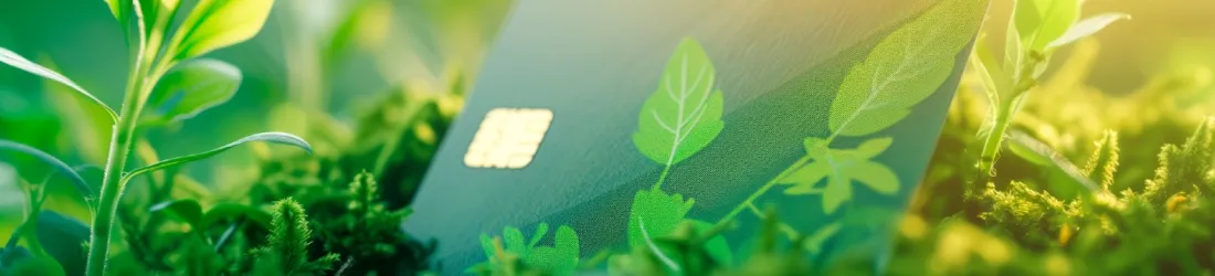 Banque verte, éthique ou solidaire : comparatif des offres