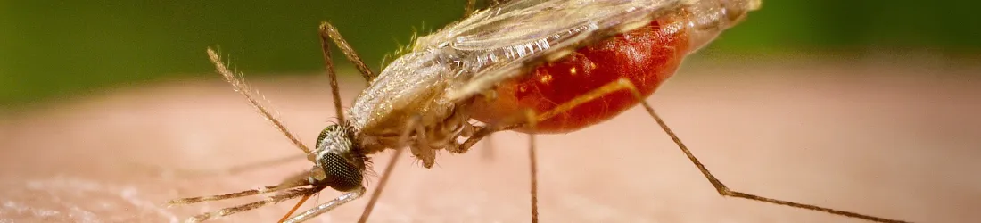 Pourquoi nous n’avons pas besoin des milliardaires