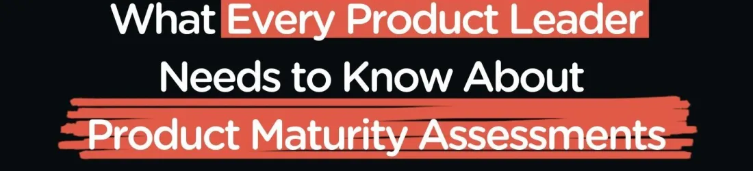 My (Highly Opinionated) Guide to Product Maturity Assessment — Petra Wille