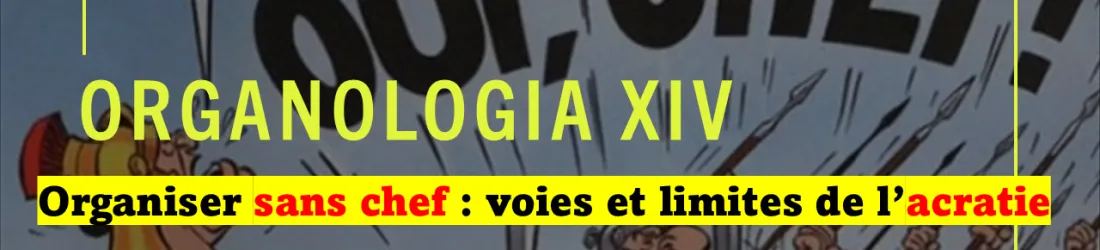 Organiser sans chef : voies et limites de l'acratie