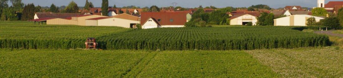 Environnement. Pour la première fois, l'usage des pesticides recule en Alsace