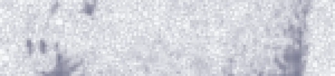 Dans les algorithmes bancaires