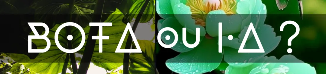 Bota ou IA ?
