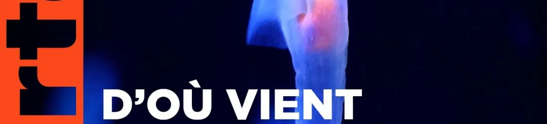 Quelle est l'origine de la vie ? | 42 - La réponse à presque tout | ARTE