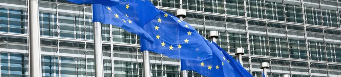 Omnibus : la directive européenne inquiétante  : épisode 1/3 du podcast L’Europe, esclave numérique des Etats-Unis ?