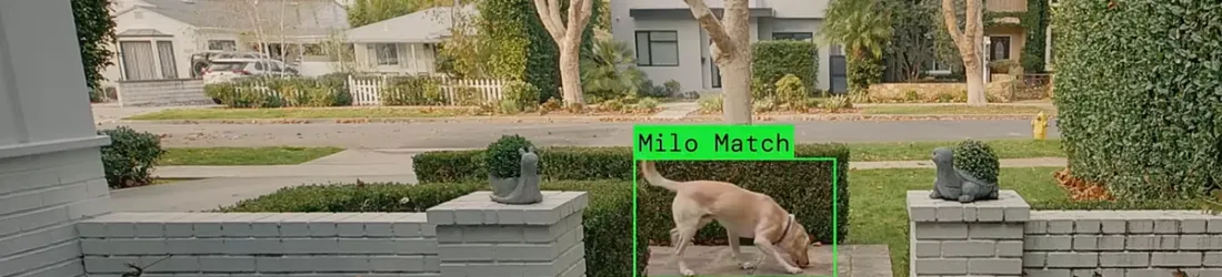 With Ring, American Consumers Built a Surveillance Dragnet