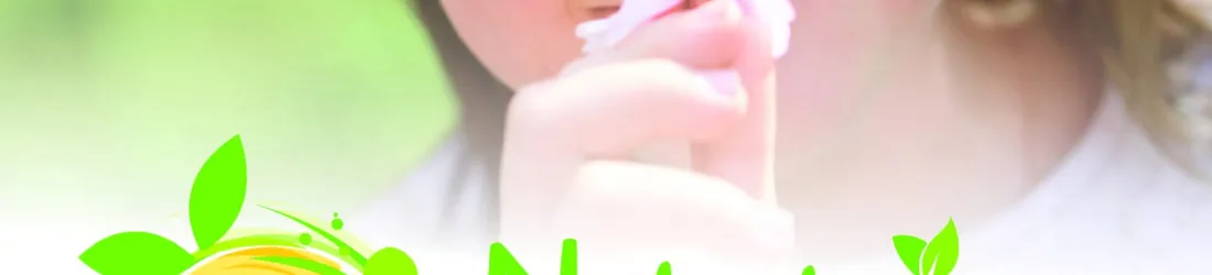 Nutrition et Handicap - Diagnostic de situation et lancement d'un projet expérimental dans la Nièvre | ORS Bourgogne-Franche-Comté