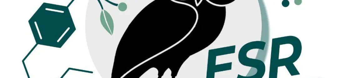 RogueESR (@rogueesr.bsky.social)