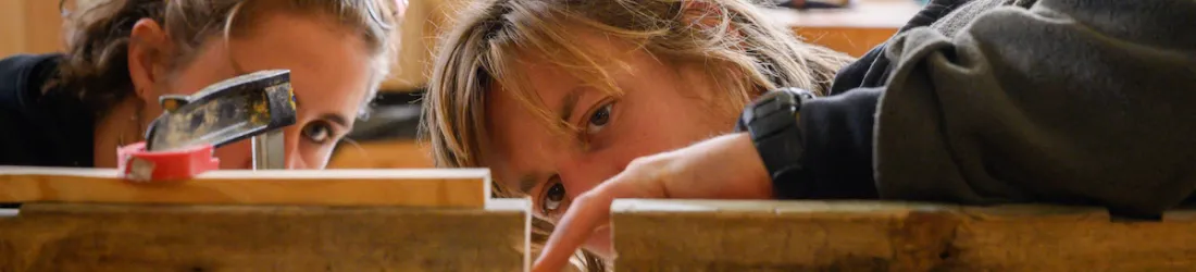 Vœux sur Parcoursup : notre guide ultime des formations à choisir pour travailler dans l’écologie