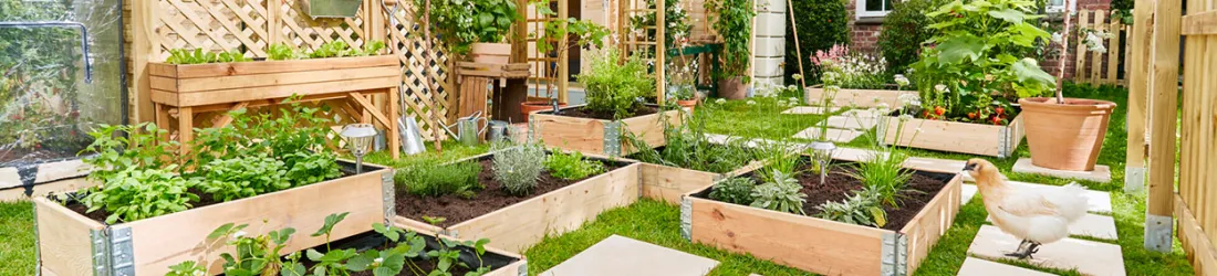 6 tutos et conseils pour créer son potager intérieur ou extérieur