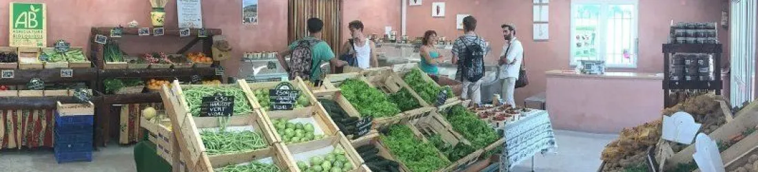 Alimentation bio et santé : ce que dit la science