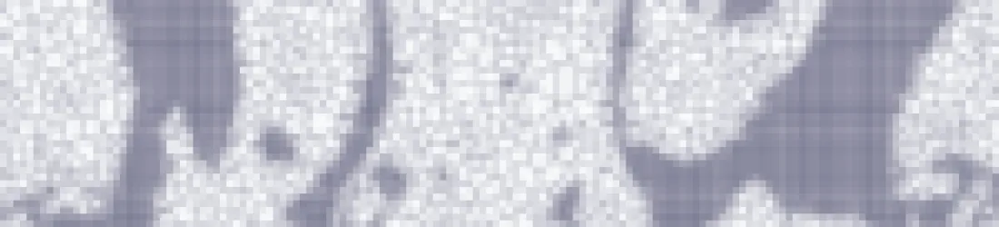 Se libérer du technocolonialisme