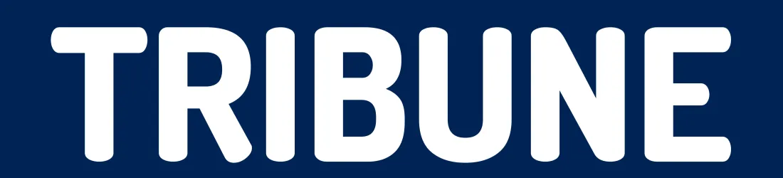 Guerre des écrans : pour un état d’urgence éducatif | OPEN Asso | Observatoire de la Parentalité et de l'Éducation Numérique