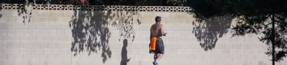 Canicule : la chaleur revient en France, à quoi faut-il s’attendre ?