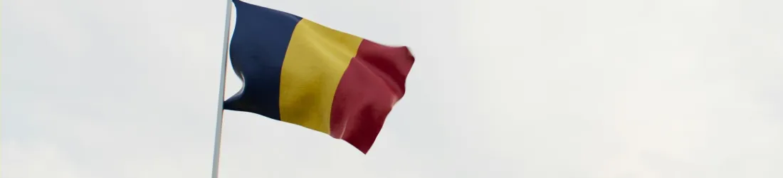 Roumanie : le rôle de TikTok dans les élections présidentielles interroge - Next