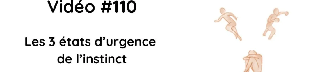 #110 Les 3 états d'urgence de l'instinct