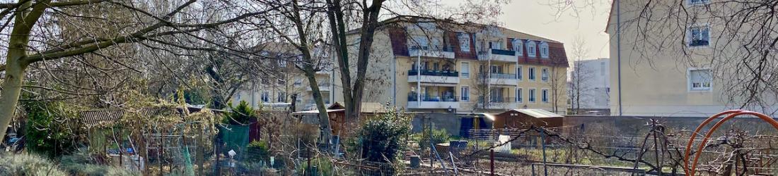 À Bischheim, des habitants s'unissent pour éviter qu'un promoteur détruise des jardins familiaux
