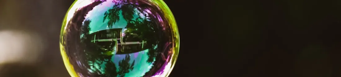 How the AI Bubble Will Pop