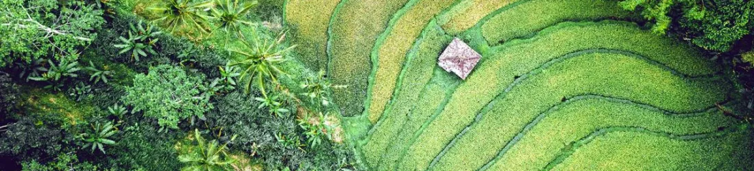 Innovons ensemble pour les agricultures de demain