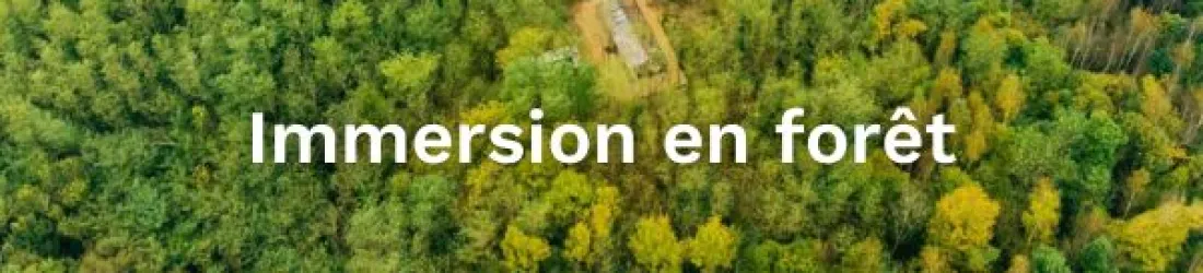 2025 - Immersion en foret - 18 au 21 avril