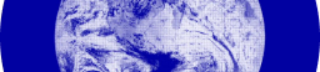 Commons | Sustainable Lifestyle App