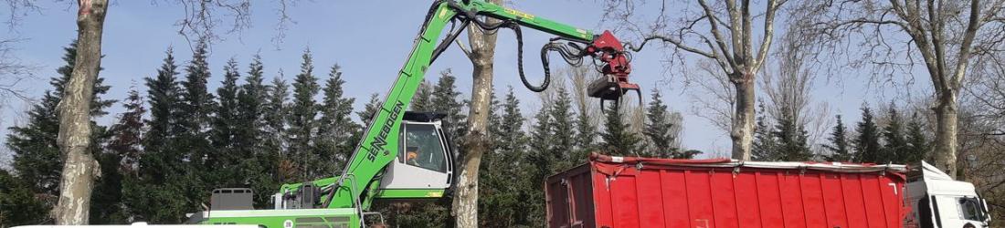 VIDÉO - Reprise de l'abattage des arbres et nouvelle garde à vue sur le chantier de l'A69