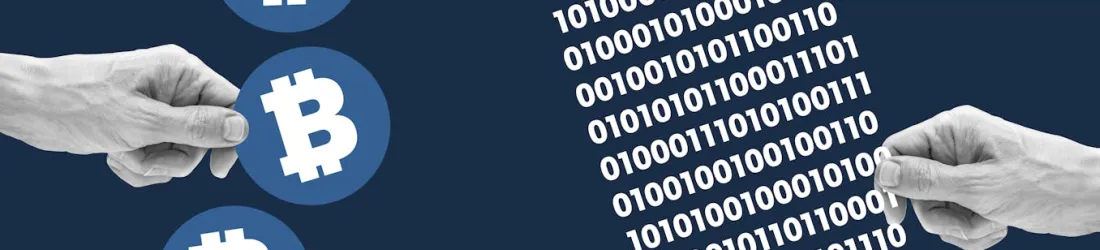 How illicit markets fueled by data breaches sell your personal information to criminals