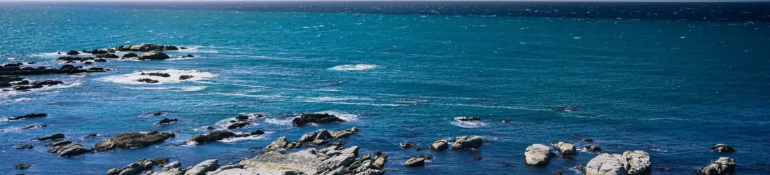 L'acidification des océans dépasse un seuil critique, la septième "limite planétaire" sur neuf est désormais franchie