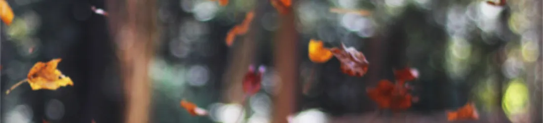 About Us - Commons Strategies Group