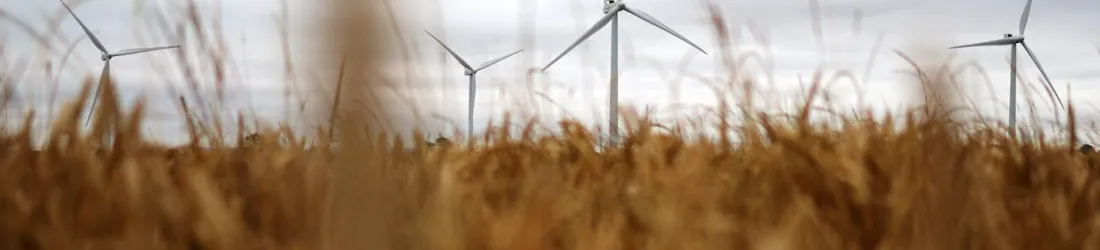 Wind powers a record summer for renewable energy in Britain