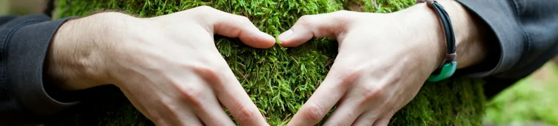 Ateliers en plein air, stages estivaux et reprise en salle! • Yoghamsa