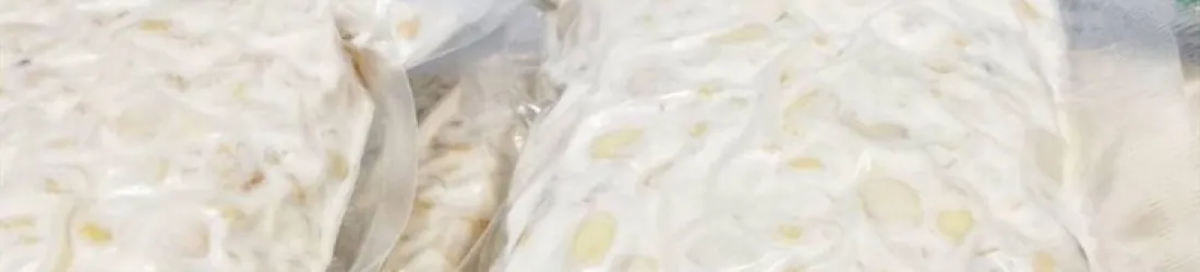 Tempeh bio par une indonésienne en Gironde