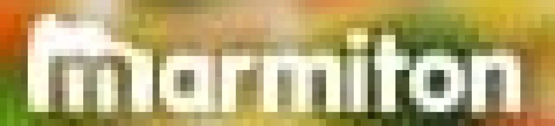 Cannellonis végétariens à la menthe