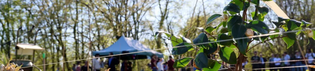 Un verger associatif pour offrir des fruits aux habitants de l’Elsau