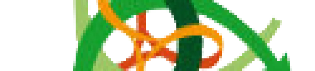 Réseau Intelligence de la Complexité