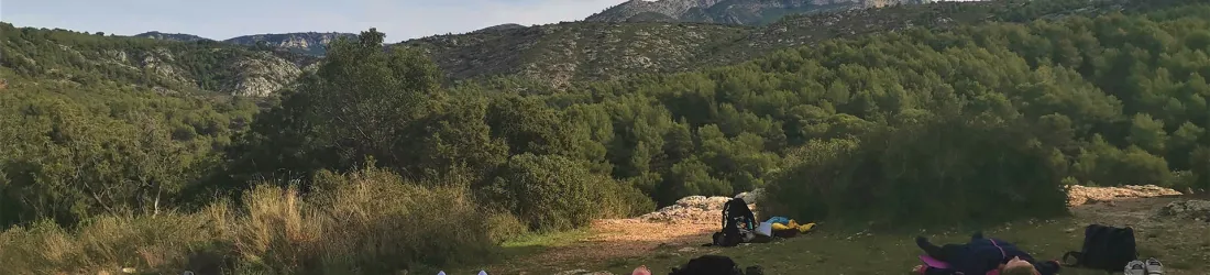 Balade Yoga et Bain de forêt - Yoga et Rando - ReiseTrip Tours