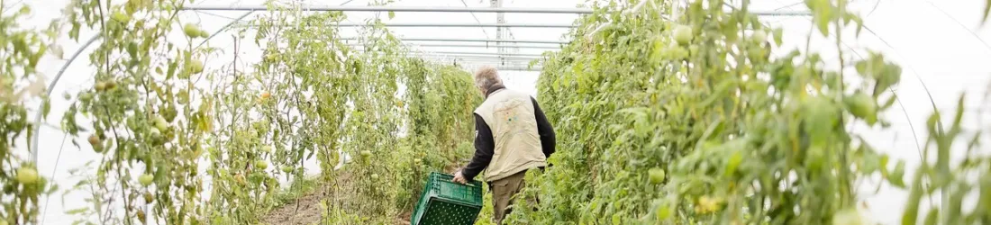 La transmission des fermes, un défi majeur pour l'agriculture