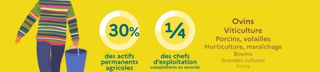 Infographie - La place des femmes dans l'agriculture | Ministère de l'Agriculture et de la Souveraineté Alimentaire