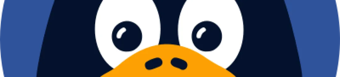 Lumière sur : Le Journal du hacker