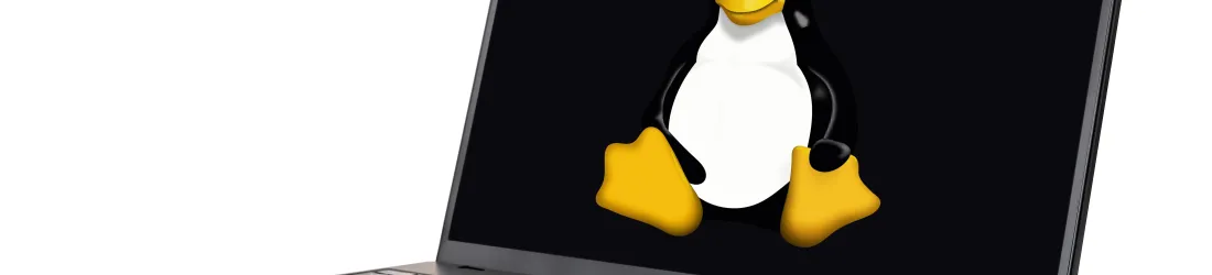 How to Install Linux on a Windows PC