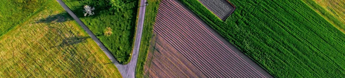 Article - Se soigner à la campagne : la débrouille des personnes LGBT+ en milieu rural | Komitid