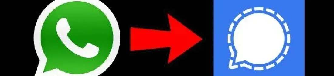 Petit topo sur la différence Whatsapp /Signal pour ma gamine