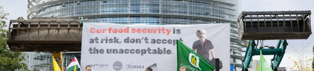 Devant le Parlement européen, une centaine d’agriculteurs s’inquiètent d’une possible réforme de la PAC