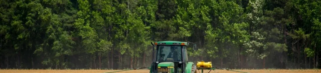 Désastreuse pour la biodiversité, la loi d'orientation agricole est adoptée