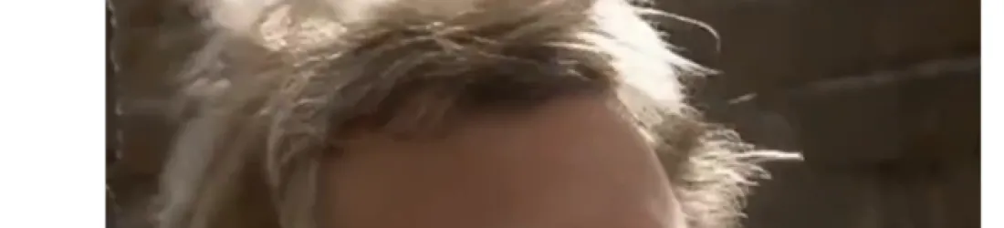 Le boeuf de Durham, le canard de Vaucanson, et Macron qui fait le con (et le sommet sur l'IA).