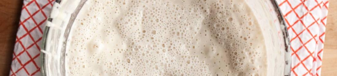 How To Make Sourdough Starter from Scratch