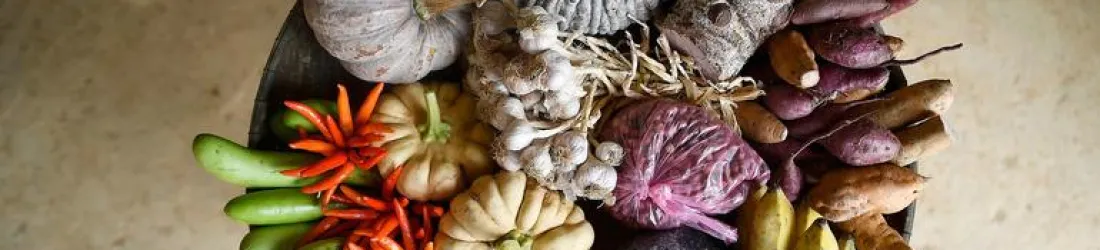 « Cuisiner est un acte politique, écologique et culturel »