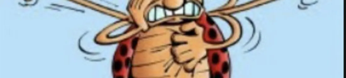 BD : contre l'IA-faussaire, le salut par la coccinelle ?